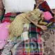 WhatsApp Image 2024 04 19 At 11.41.11 PM
