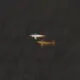 IMG 20240823 WA0294