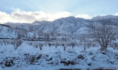 IMG 20241023 WA0519