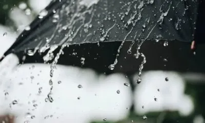 IMG 20241025 WA0126
