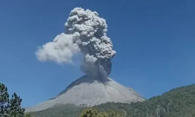 IMG 20241104 WA0041 1