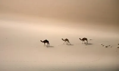 IMG 20241202 WA0076