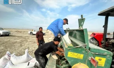 IMG 20241202 WA0208