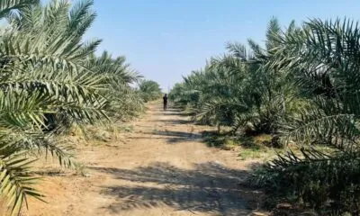 IMG 20241204 WA0116
