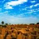 IMG 20241204 WA0172
