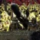 IMG 20241204 WA0439