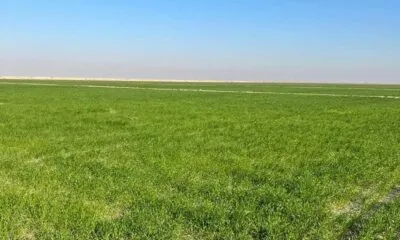 IMG 20241207 WA0376