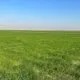 IMG 20241207 WA0376