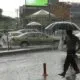 IMG 20241213 WA0100