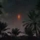 IMG 20241214 WA0343