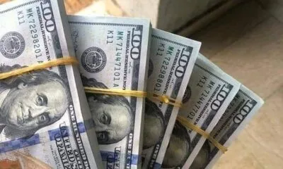 IMG 20241223 WA0133